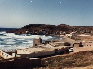les corales